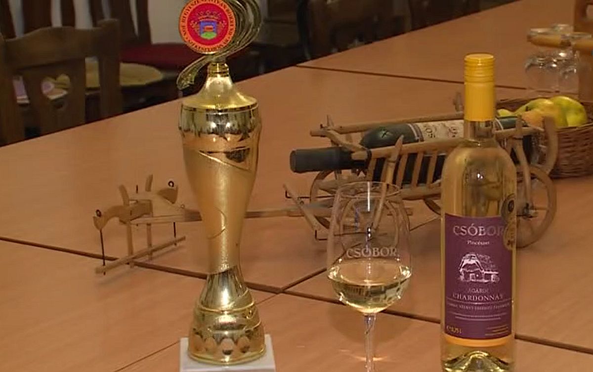 A Csóbor Pincészet chardonnay-ját választották Székesfehérvár zászlósborának