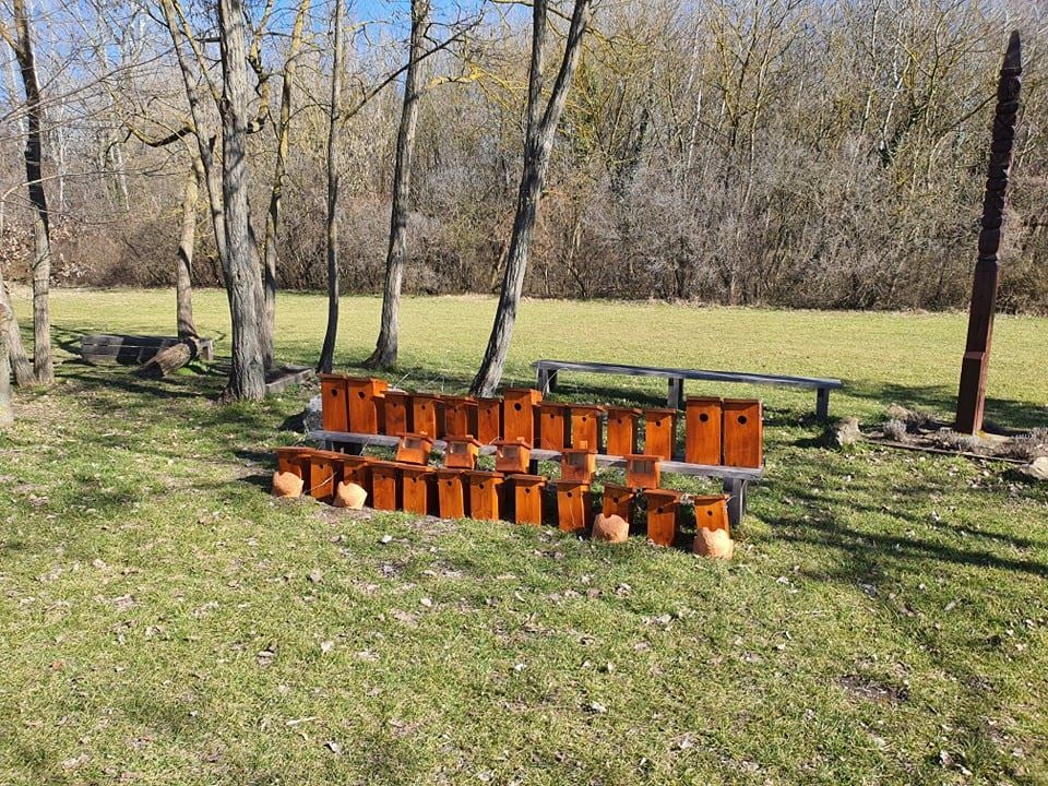 Madárbarát Fehérvár - idén is telepítenek költőodúkat a parkokban