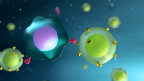 Látványos és közérthető videóban mutatják be a koronavírus-vakcinák működését