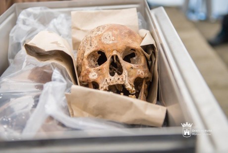 Mátyás király maradványainak azonosításán dolgoznak a Szegedi Tudományegyetem kutatói