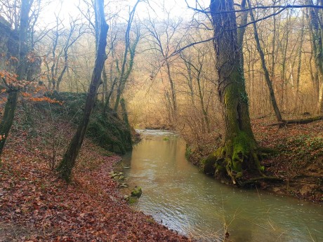 A biztonságos erdőlátogatás fontosságára hívja fel a figyelmet az Agrárminisztérium