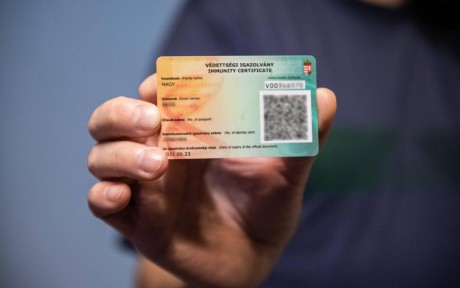 Elektronikusan is igényelhető a védettségi igazolvány