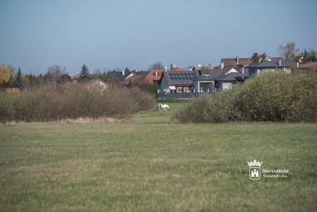 Rekortán borítású futópálya épül Maroshegyen