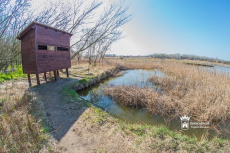 Új megfigyelőponttal gazdagodott a Sóstó tavasszal