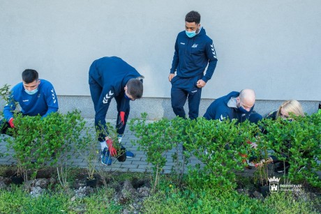 Túl a sövényen - növényeket ültettek a kosarasok a csarnok előtt
