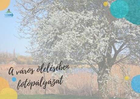 Fotópályázatot hirdetett a Sóstó Látogatóközpont a természet a város ölelésében címmel