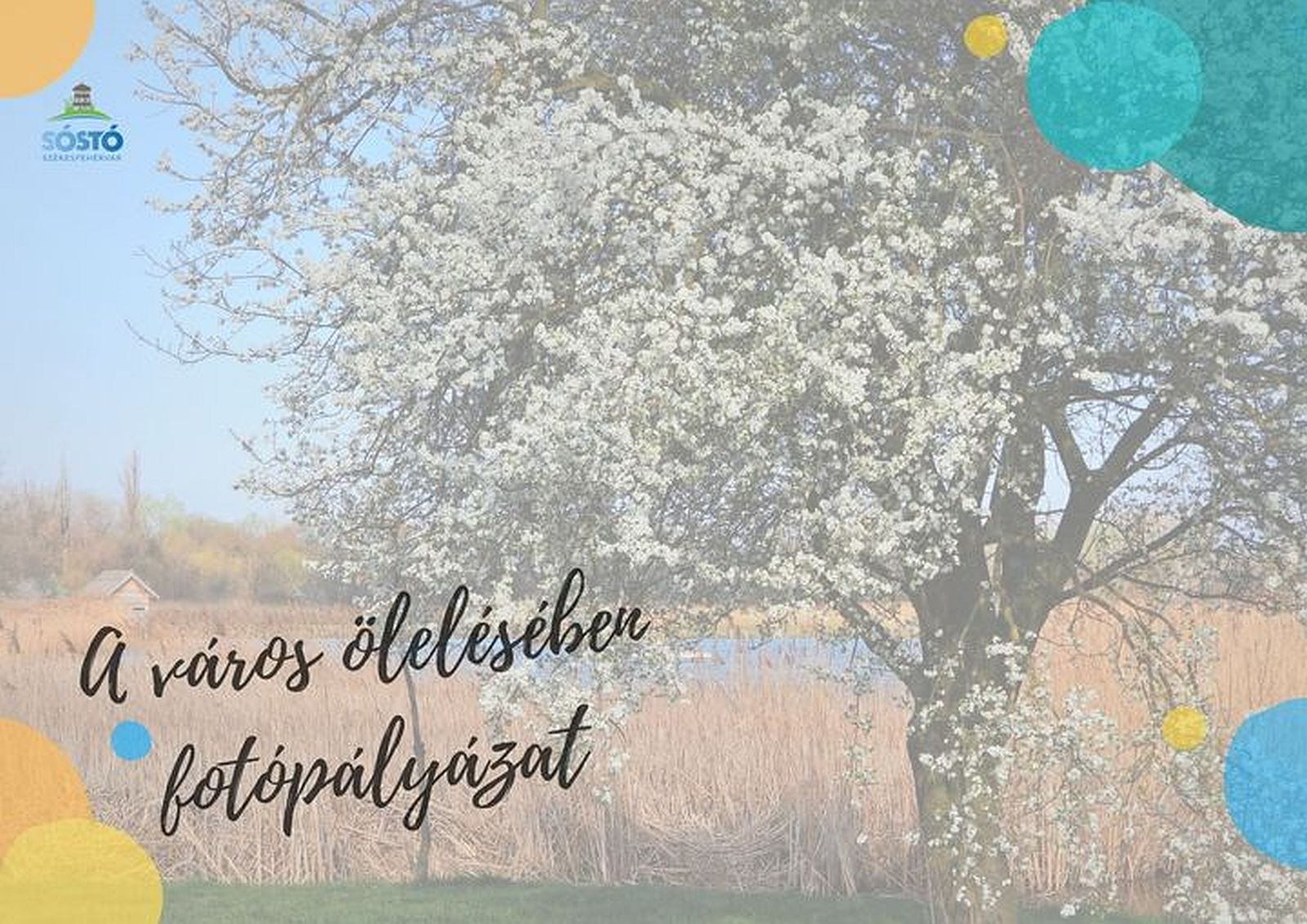 Fotópályázatot hirdetett a Sóstó Látogatóközpont a természet a város ölelésében címmel
