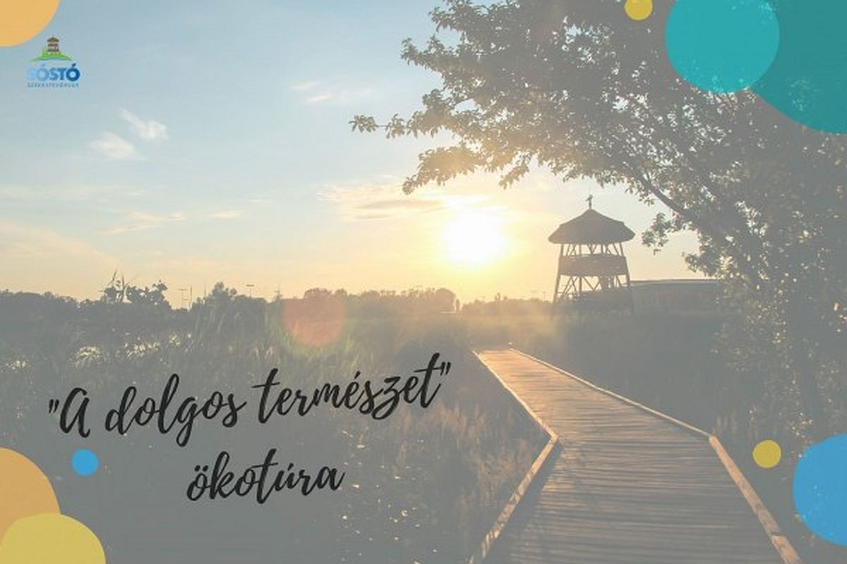A dolgos természet – újra lesz ökotúra a Sóstó Természetvédelmi Területen