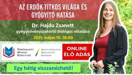 Az erdők titkos világa és gyógyító hatása - dr. Hajdu Zsanett online előadása hétfőn