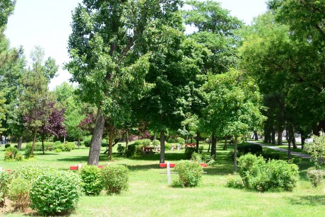 Tematikus séta a Belvárosban - régi és új parkok Székesfehérváron