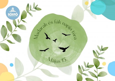 Madarak és fák napja alkalmából hétvégén irány a Sóstóra!