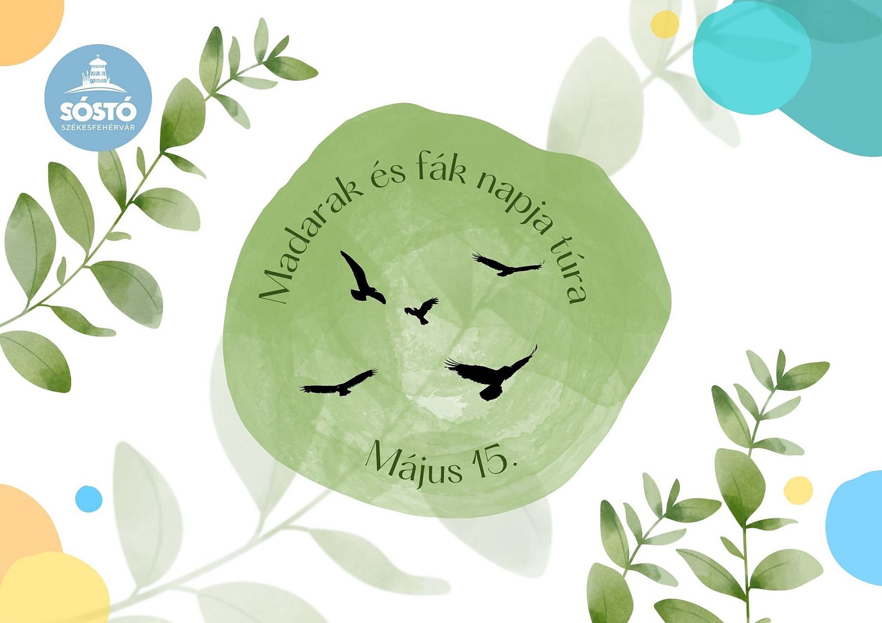 Madarak és fák napja alkalmából hétvégén irány a Sóstóra!