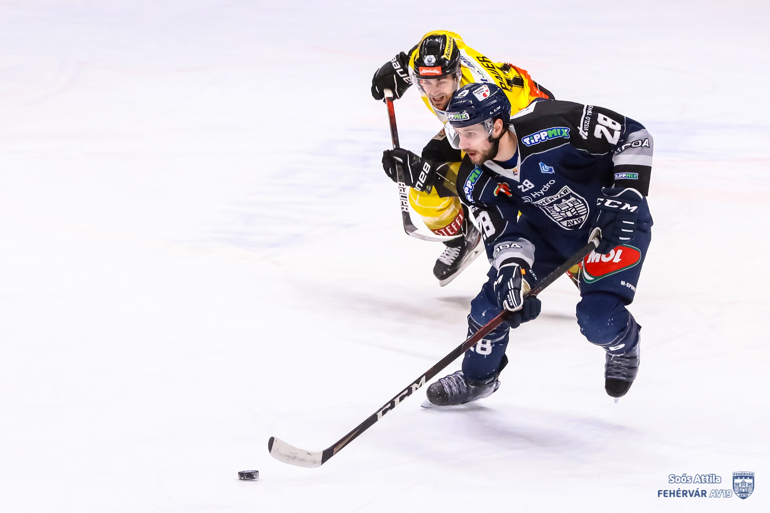 Szabó Dániellel is szerződést hosszabbított a Hydro Fehérvár AV19