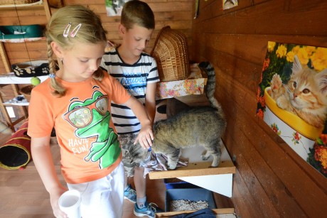 Már jelentkezhetnek a gyerekek a Fehérvári Állatotthon nyári napközis táborába