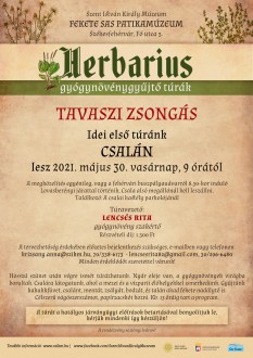 Tavaszi zsongás zsályával, mentával és kakukkfűvel - gyógynövénytúra Csalán
