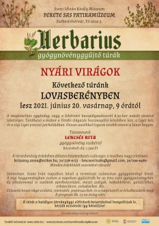 Lovasberényben folytatódnak vasárnap a gyógynövénytúrák
