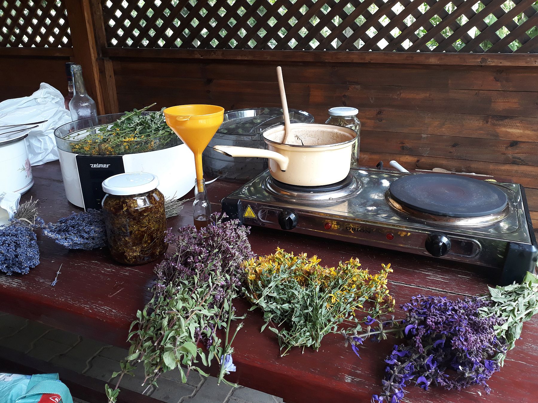 Idén is lesz gyógynövénytábor Lencsés Ritával - július 2-ig lehet jelentkezni