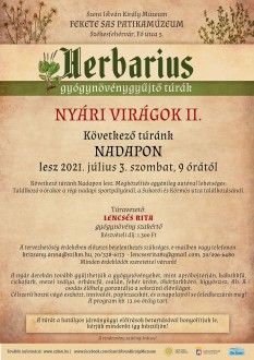 Nadapra kalauzol a szombat délelőtti gyógynövénygyűjtő túra