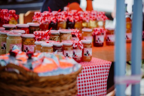 Helyi környezetünkért - tematikus átadó nap a Fehérvár Éléstárral
