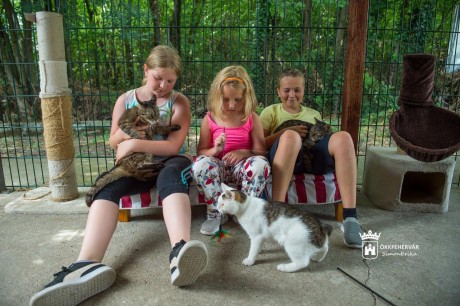 Felelősségre nevelés, érzékenyítés - ilyen a napközis tábor a HEROSZ-nál