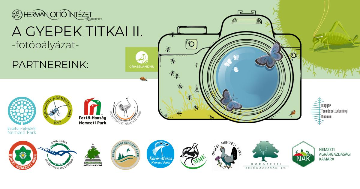 A gyepek titkai II. – augusztus 31-ig várják a fotókat a pályázatra