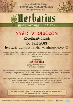 Vadvirágok után kutatva folytatódik vasárnap a Herbarius túra