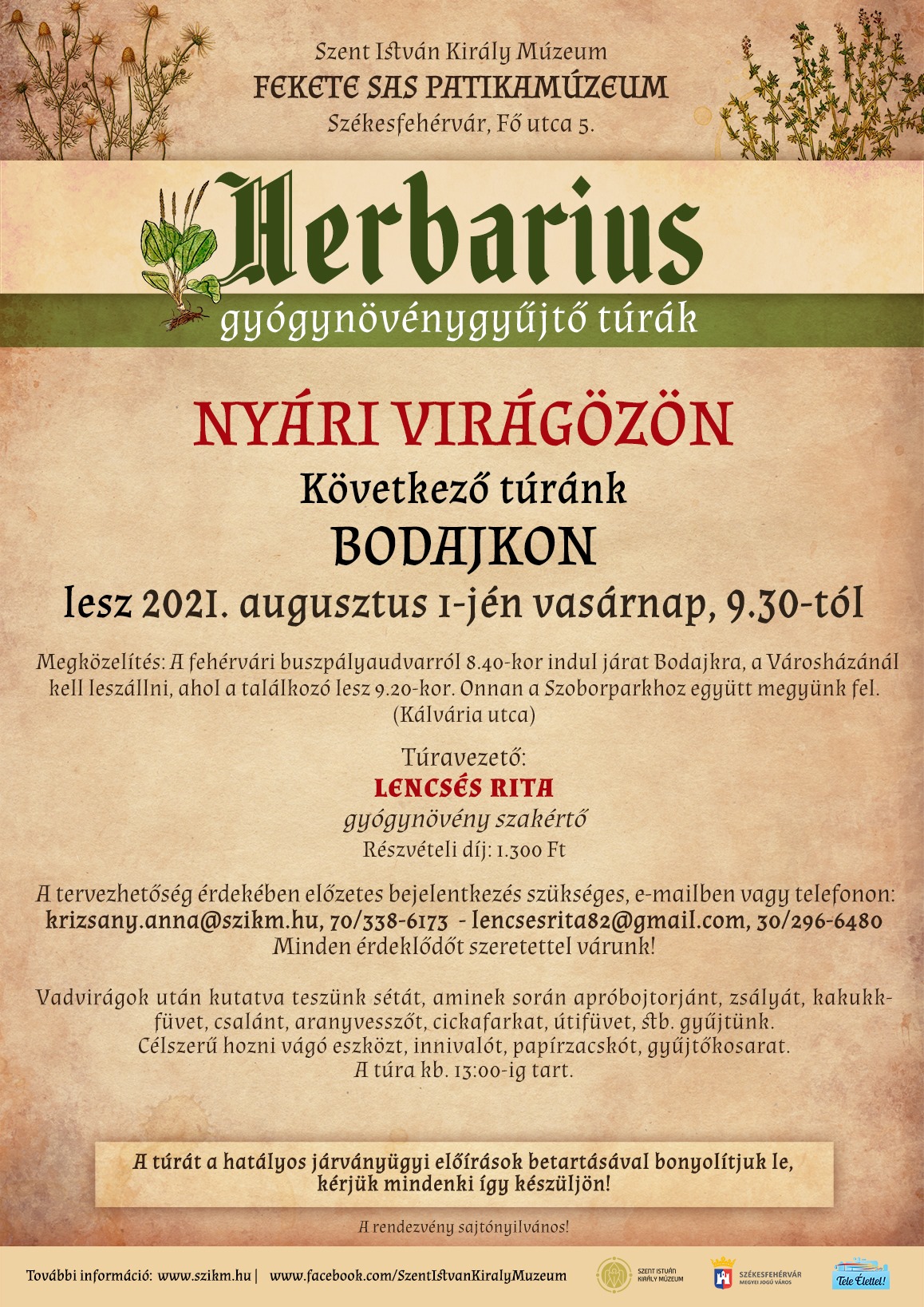 Vadvirágok után kutatva folytatódik vasárnap a Herbarius túra