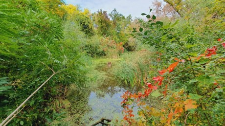 A Rácbányában folytatódik augusztus 5-én a városismereti séta