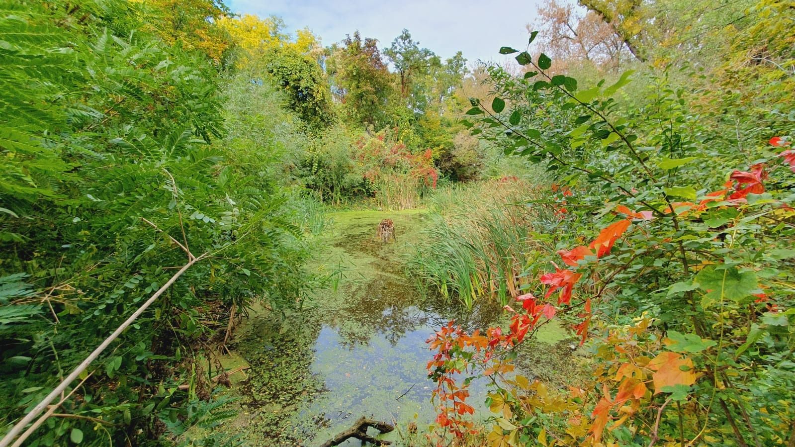 A Rácbányában folytatódik augusztus 5-én a városismereti séta