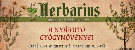 A nyárutó gyógynövényeiből gyűjthetünk vasárnap - Herbarius túra lesz Csóron