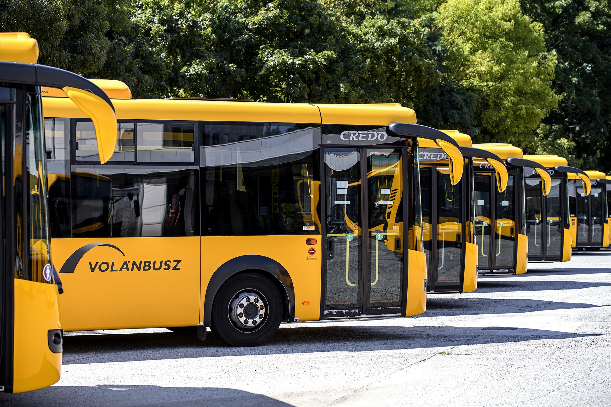 24 Credo Econell, szóló autóbusz kezdi meg szolgálatát Fejér megyében