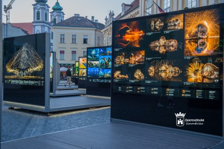 Árnyak, fények, játékok - Máté Bence természetfotós installációi a Belvárosban