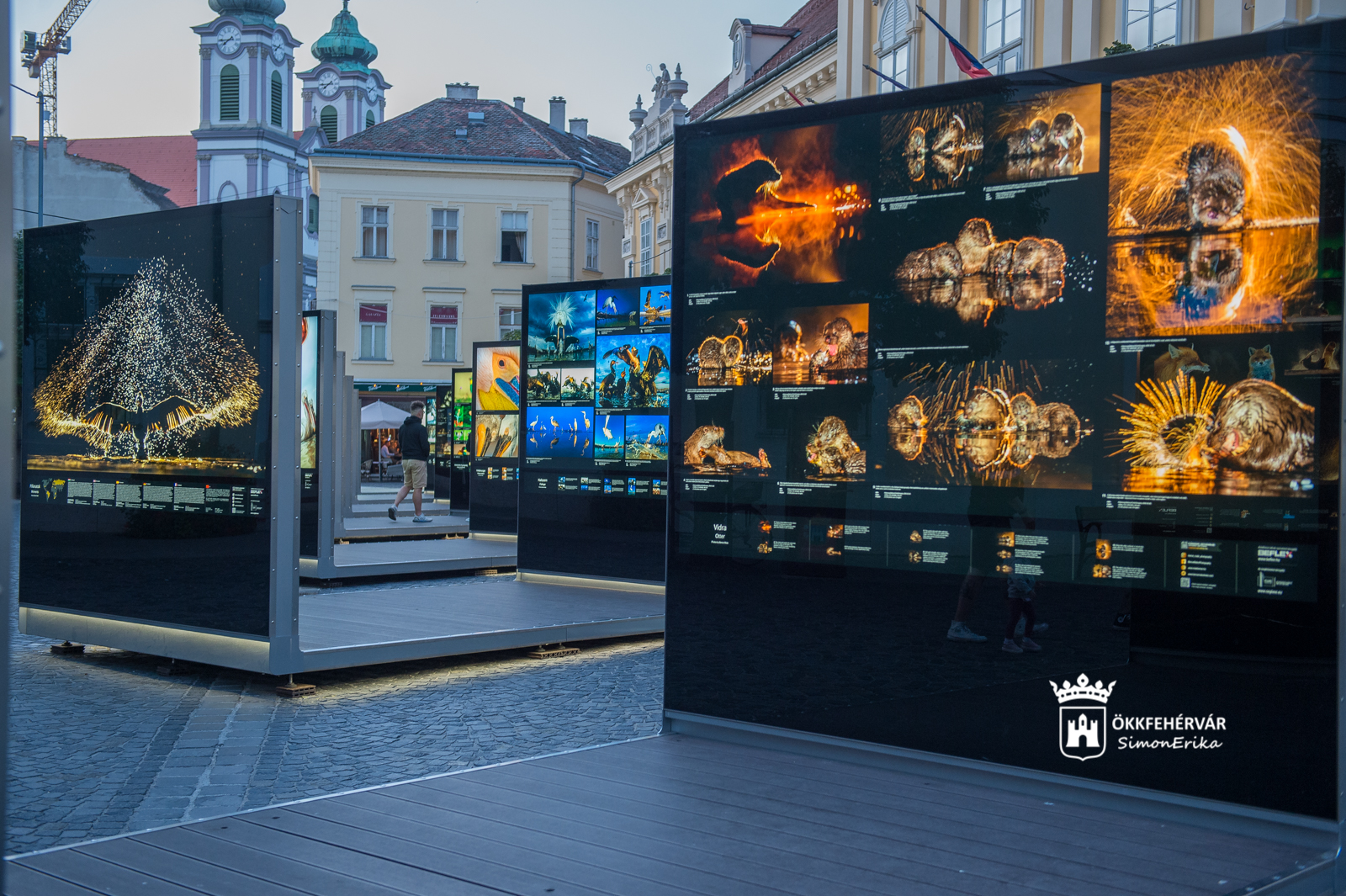 Árnyak, fények, játékok - Máté Bence természetfotós installációi a Belvárosban