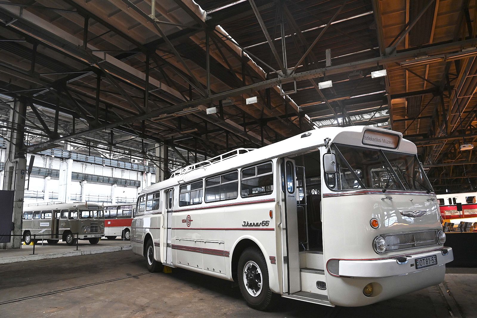 Egy fehérvári faros Ikarus 66-os a Közlekedési Múzeum legújabb restaurált járműve