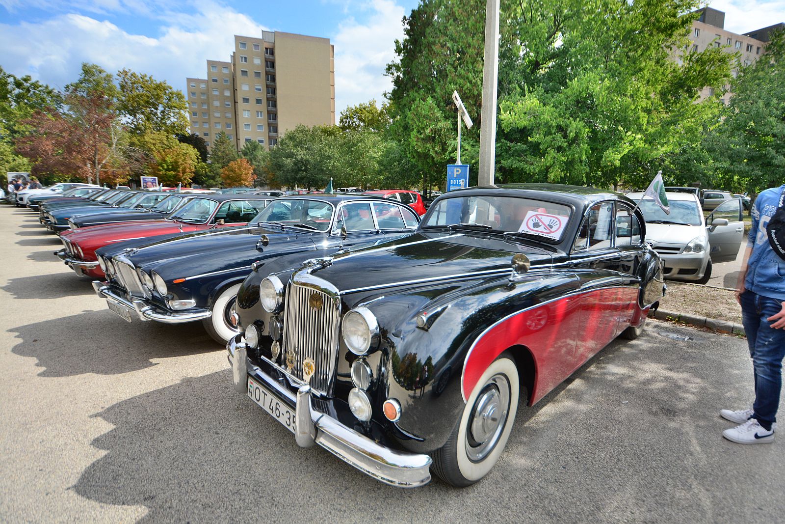 Székesfehérváron tartotta nagytalálkozóját a Magyar Jaguar Club