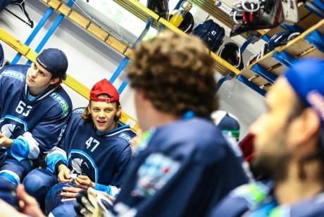 Jégkorong: a brassói farkasok kiütötték a fehérvári titánokat