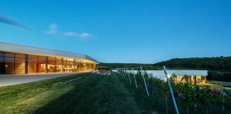 Újabb izgalmas borest lesz Székesfehérváron a Borbárban október 6-án