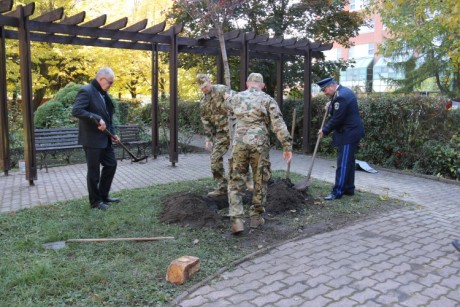 A Szent György Kórház kertjében ültették el az 