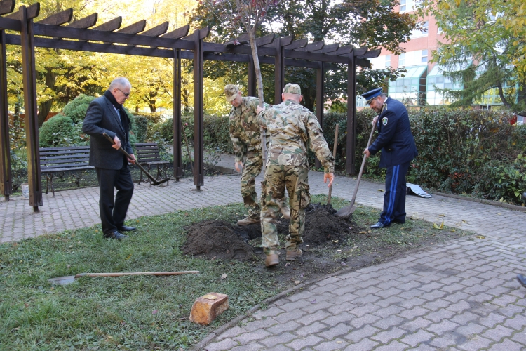 A Szent György Kórház kertjében ültették el az 