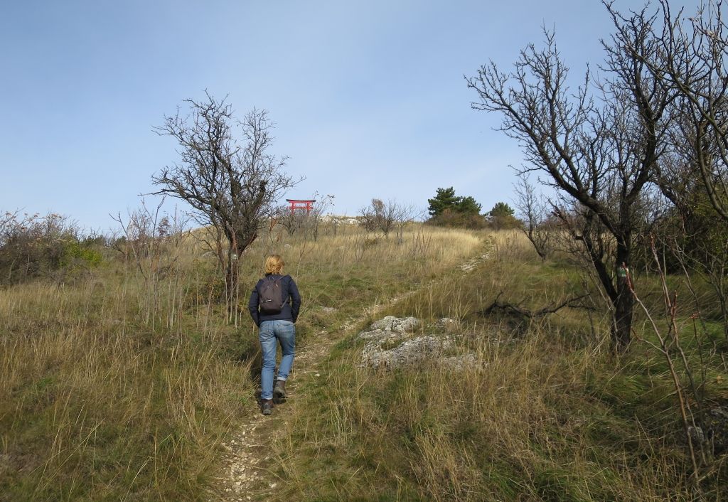 Hat táv közül lehet választani a szombati Fehér-Vár-Palota teljesítménytúrán