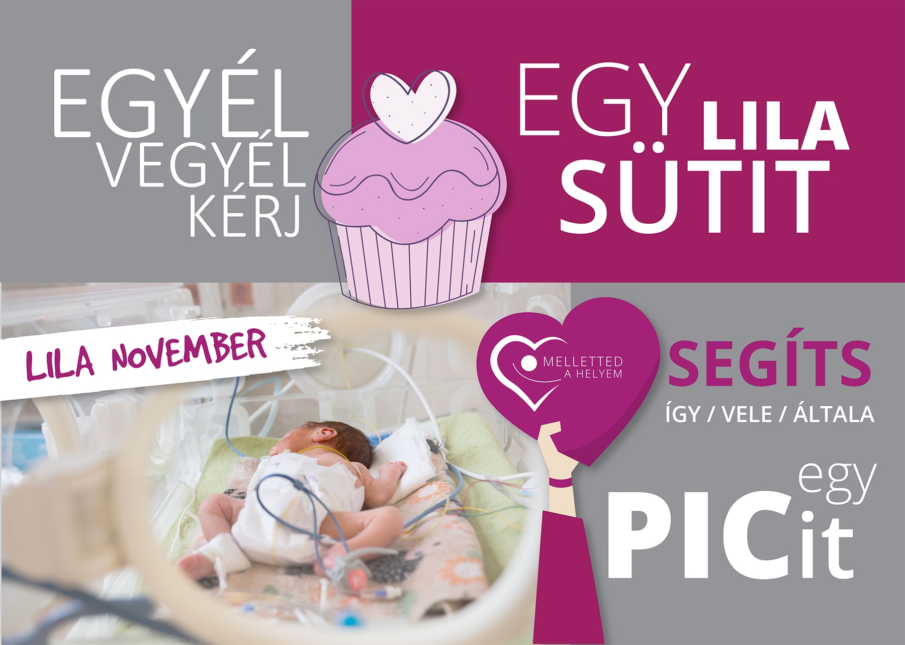 Lila sütik hétfőn, kedden és szerdán - segítsük közösen a koraszülött csecsemőket ellátó kórházi osztályokat!