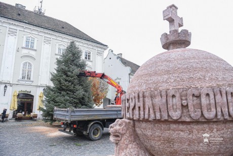 Megérkezett a város karácsonyfája a Városház térre