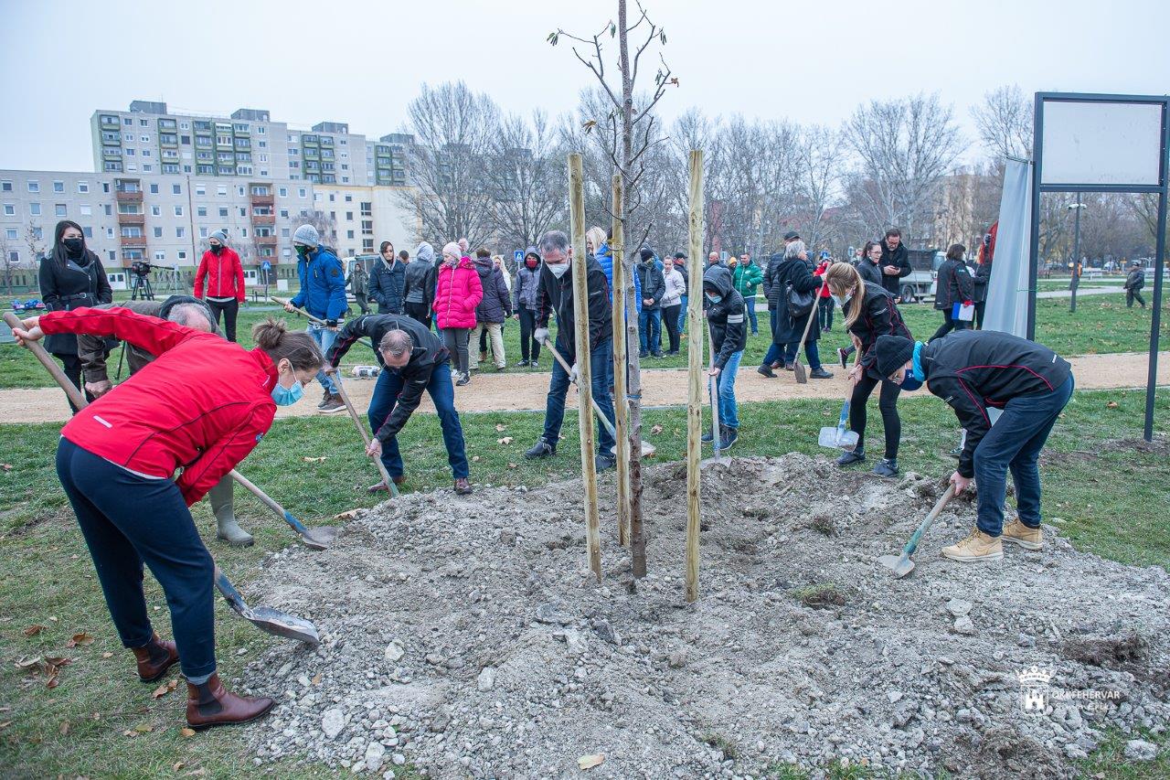 80 fát adományozott a városnak az idén 80 éves Arconic