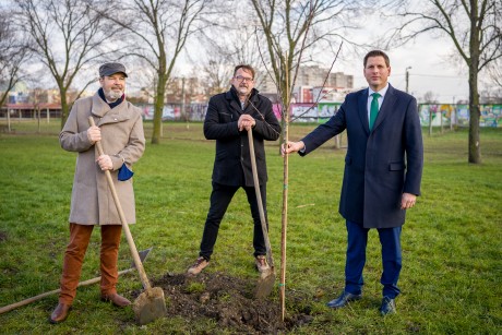 Székesfehérváron is elültették a nemzeti összetartozást szimbolizáló almafákat