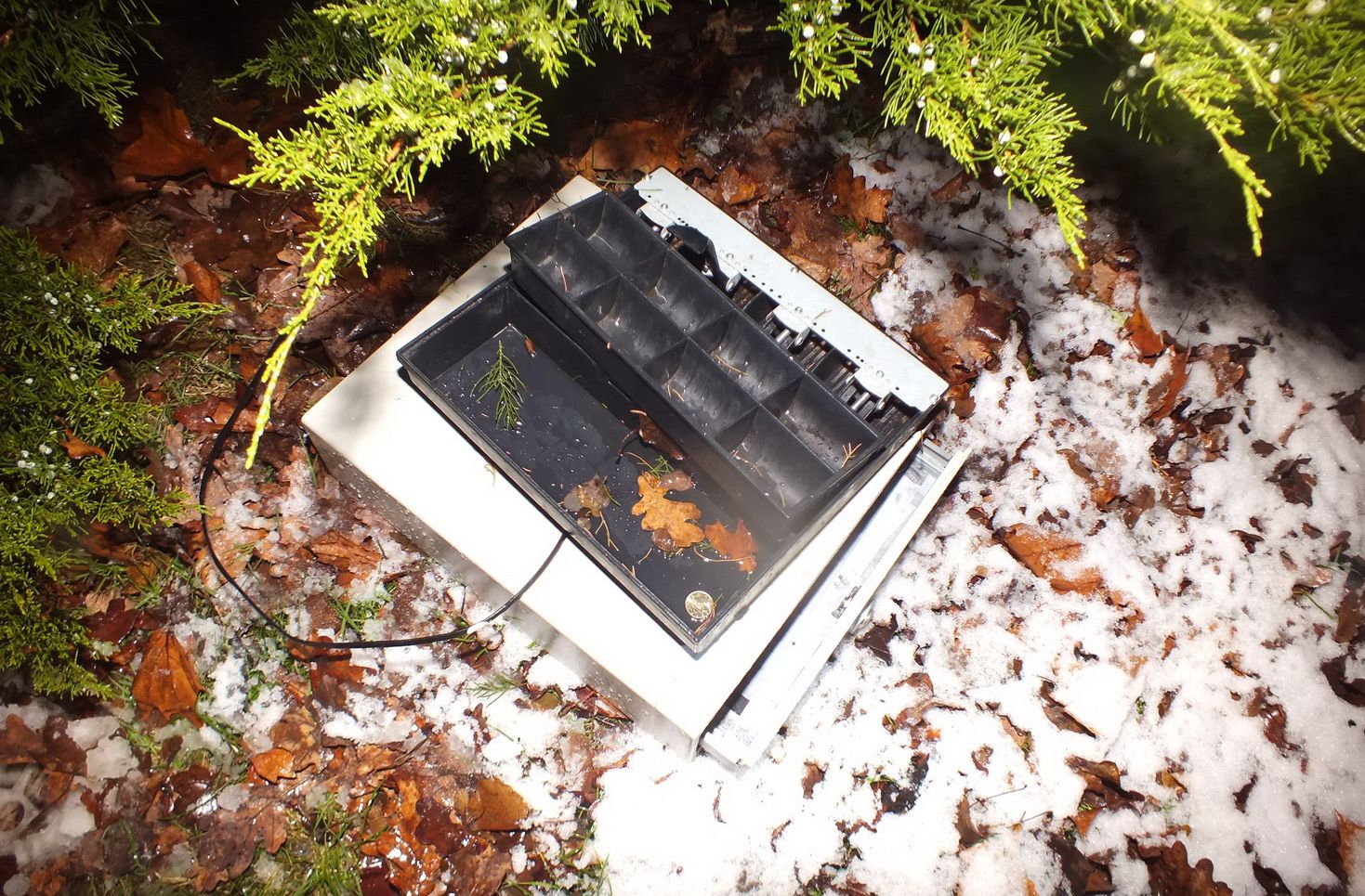 Fagyizóba tört be a pénzkazettáért - gyorsan elfogták a rendőrök