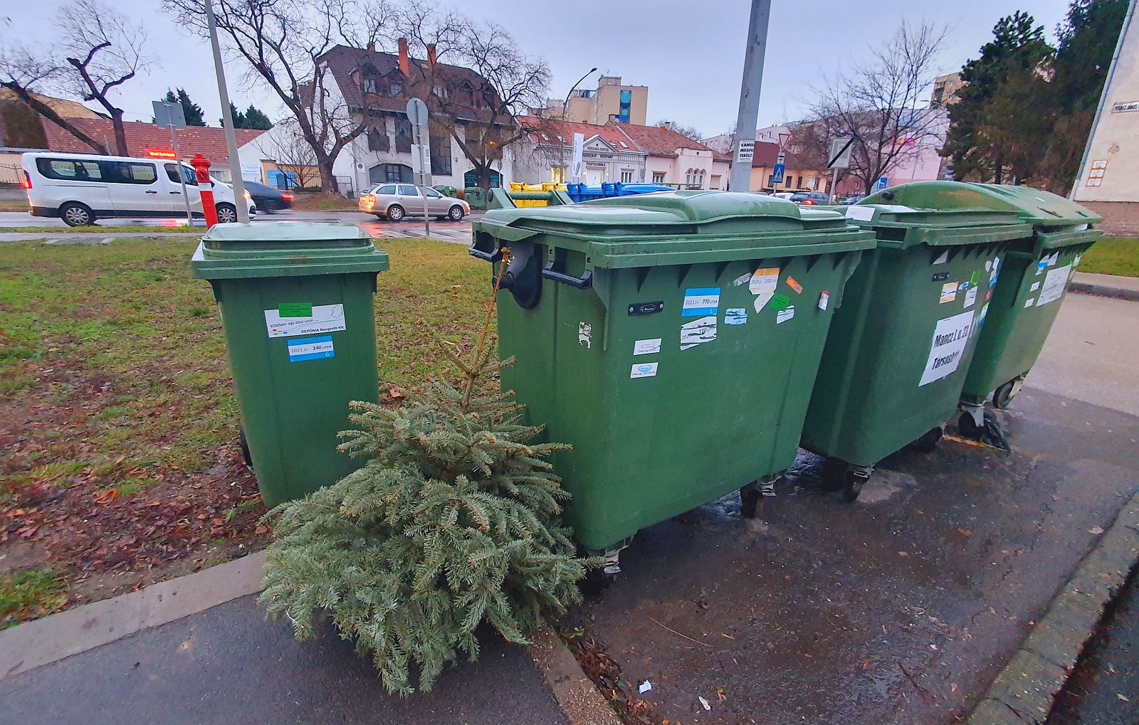 Elviszi a szolgáltató a kukák mellé kihelyezett fenyőfákat Székesfehérváron