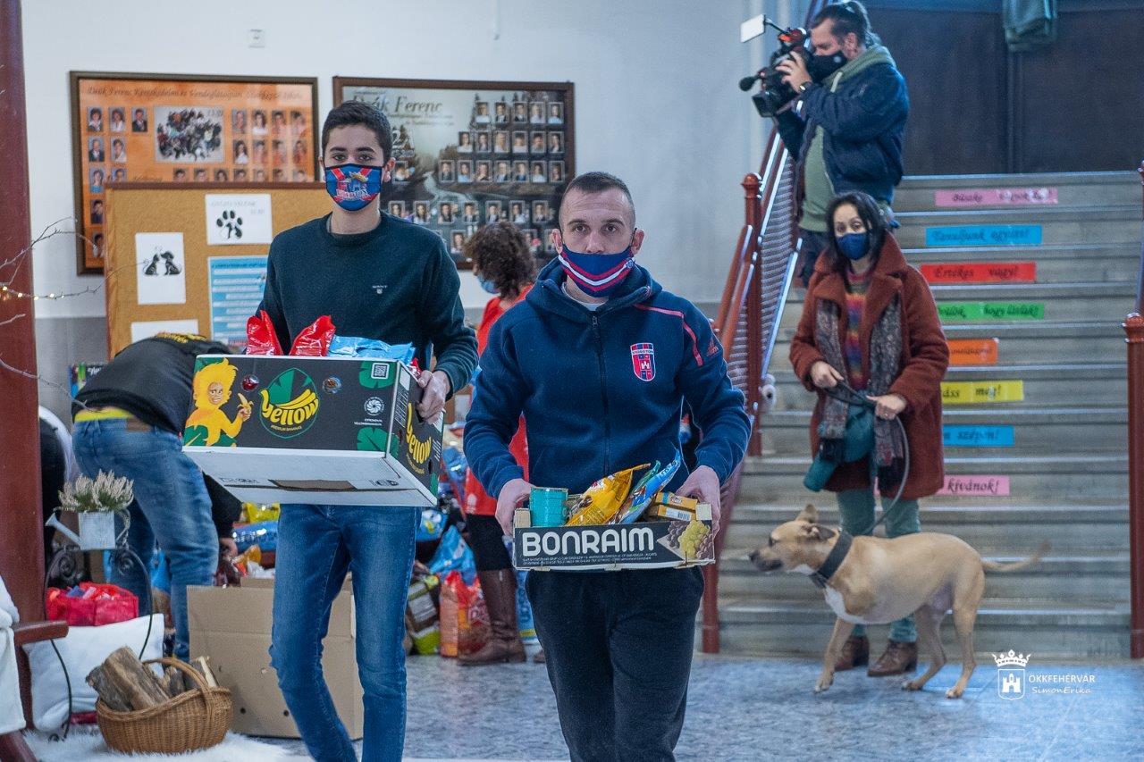 Ötszáz kilónyi kutyatáp és -konzerv, valamint sokféle játék és étrend-kiegészítő gyűlt össze