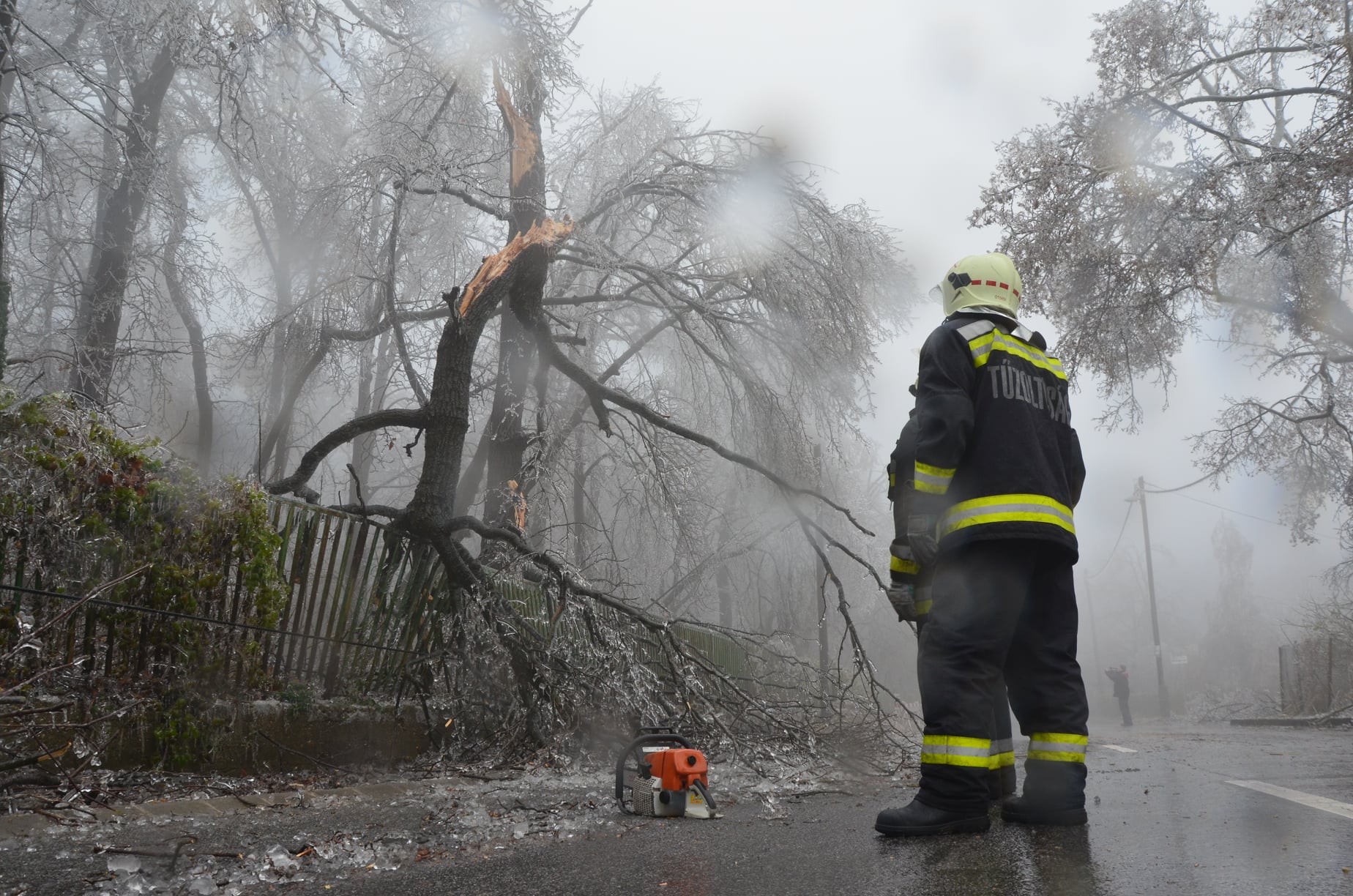 Fákat csavart ki a szél - viharkárok Székesfehérváron