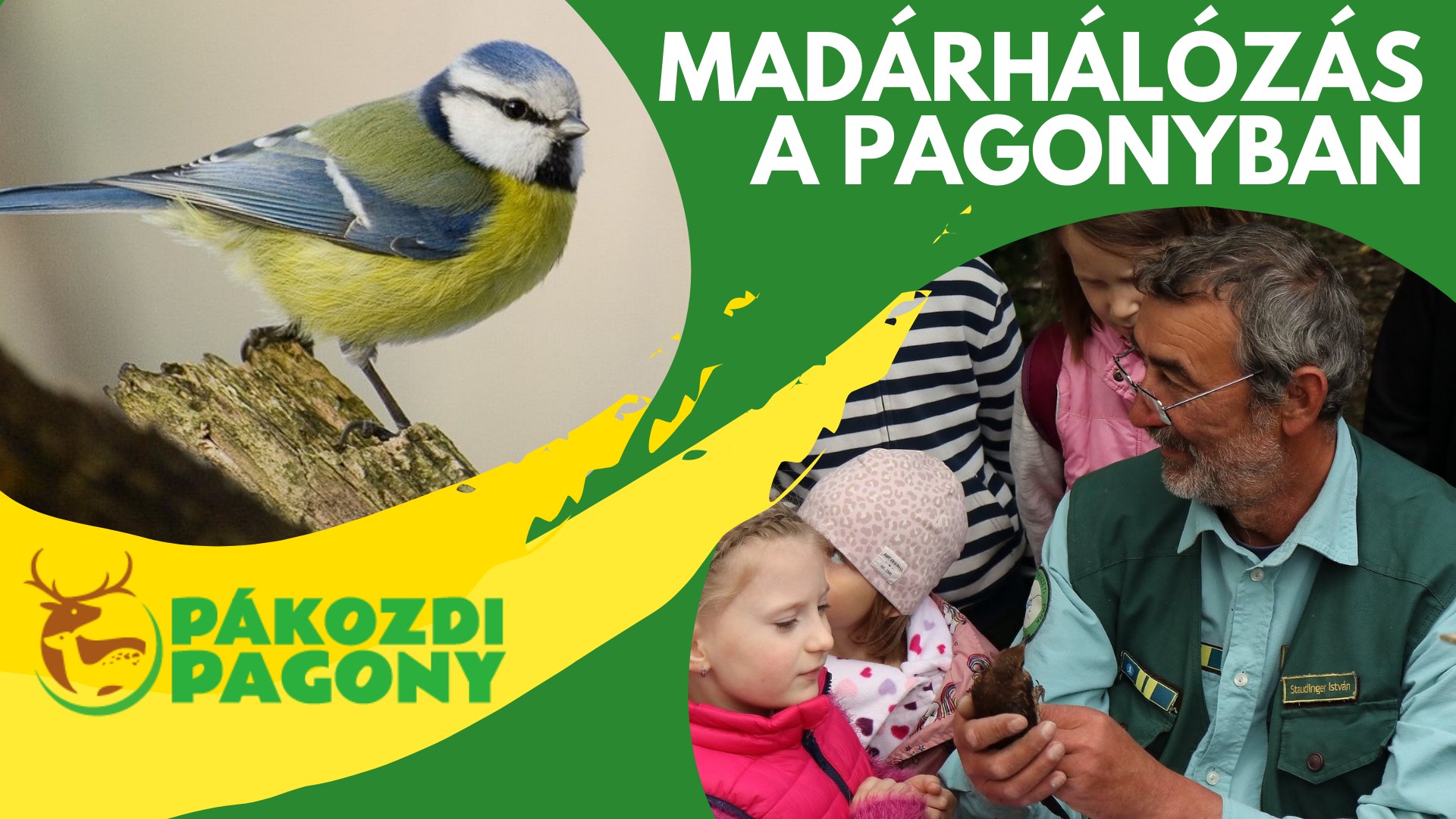 Madárhálózásra hívja az állatbarátokat szombaton a Pákozdi Pagony