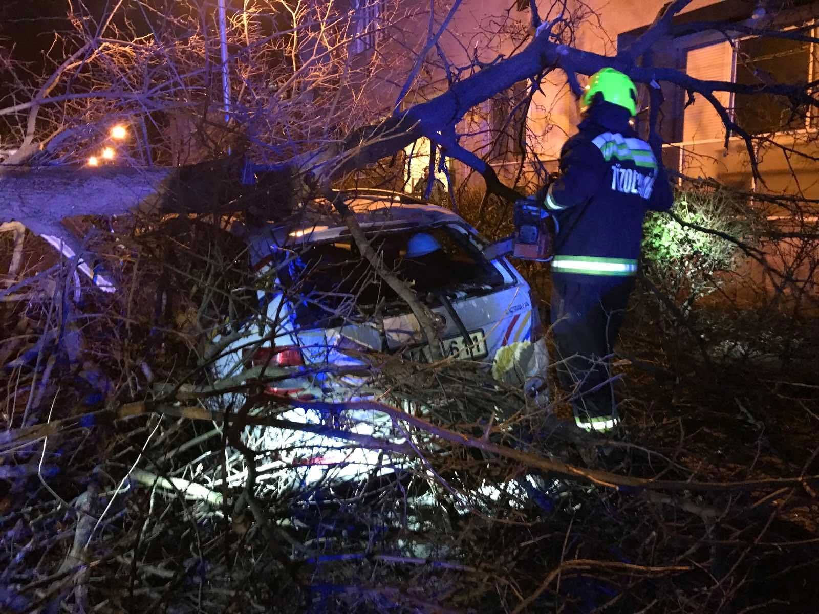 Éjszaka is dolgoztak a viharkárok elhárításán - 100 bejelentés Fejérben